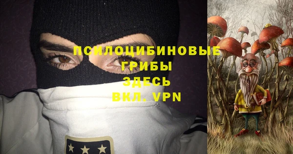 крисы Медногорск