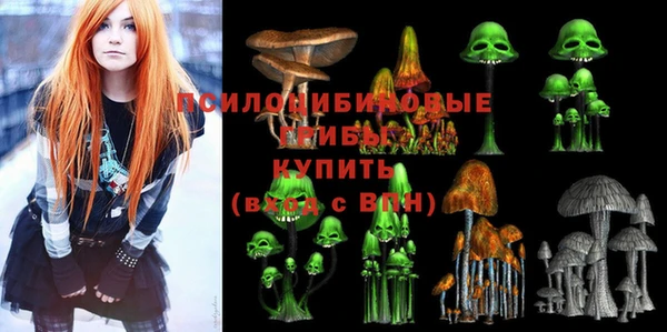 крисы Медногорск